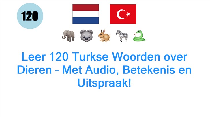 Leer 120 Turkse Woorden over Dieren – Met Audio, Betekenis en Uitspraak!